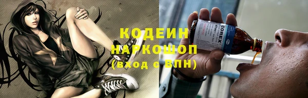 ECSTASY Покачи