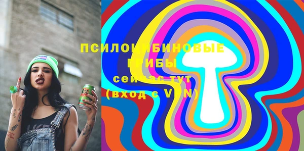 шишки Покровск