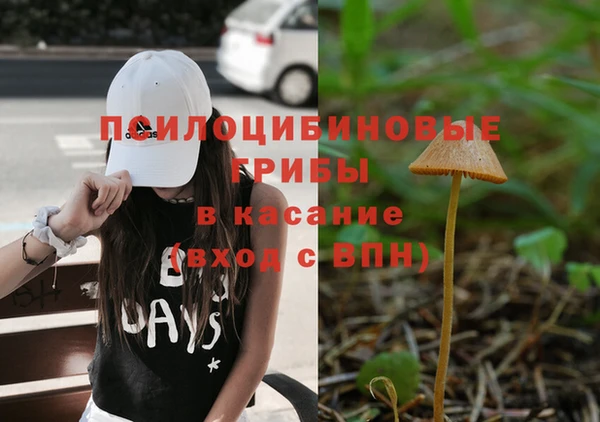 ECSTASY Покачи