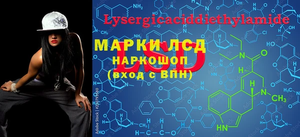 ECSTASY Покачи